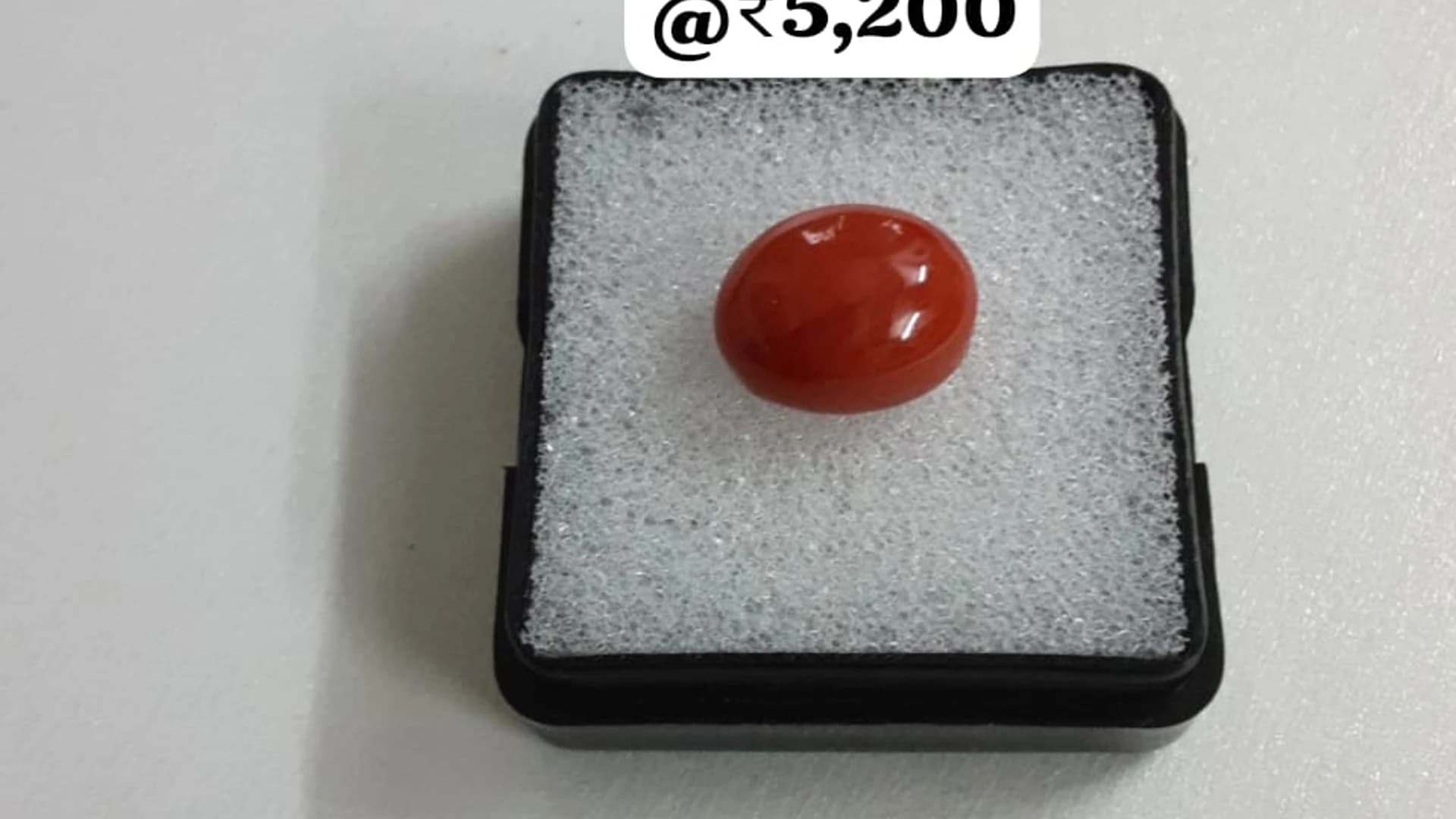 Premium Oval Red Coral — ox-blood red natural coral cabochon