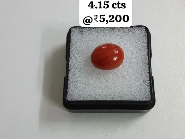 Premium Oval Red Coral — ox-blood red natural coral cabochon