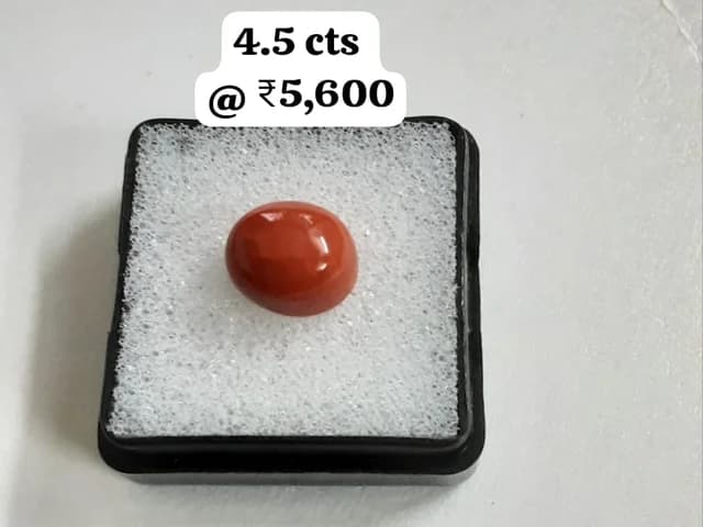 Imperial Italian Moonga — substantial 4.5 ct oval red coral